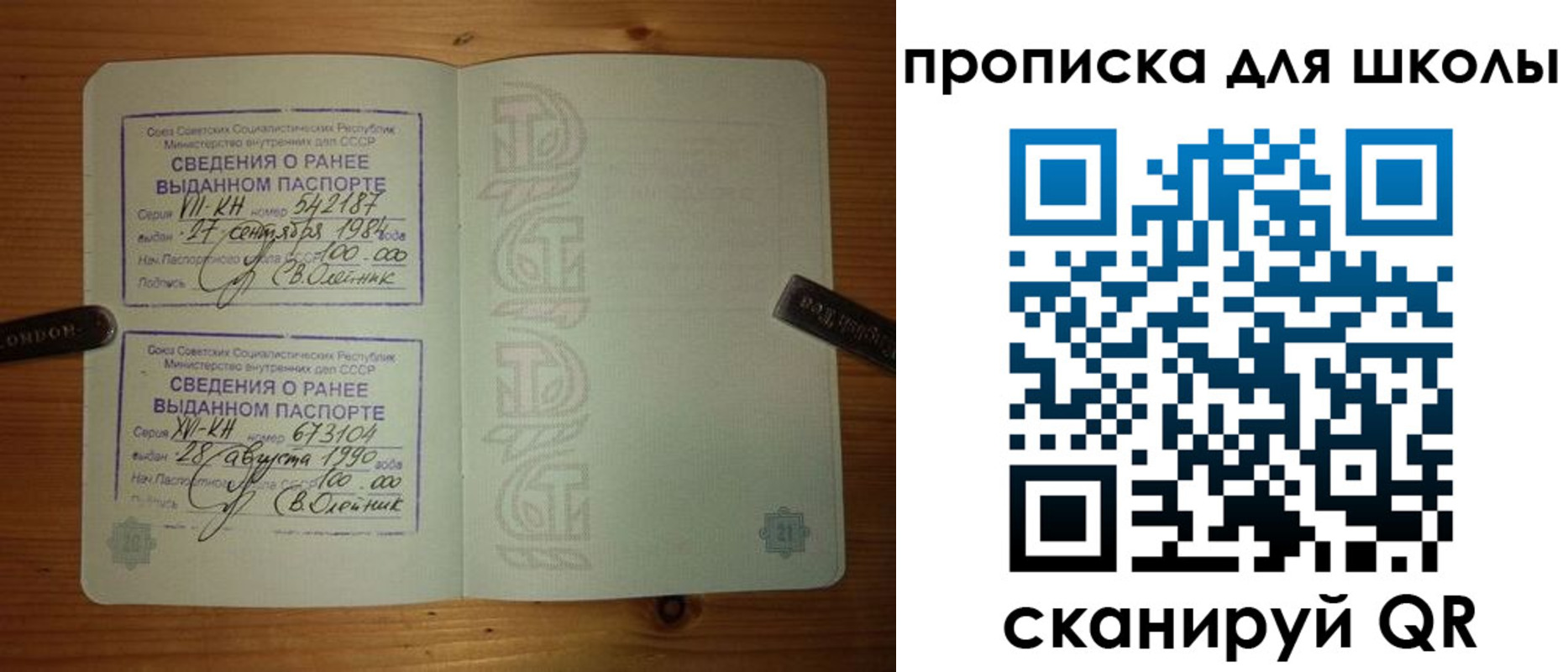 прописка для школы в Пионерском